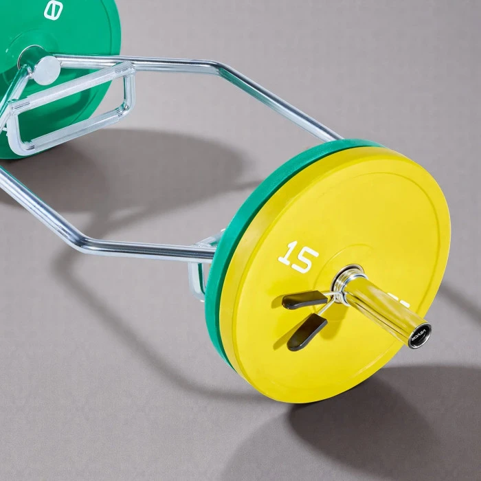 Гриф для штанги VEVOR 5,5 см, 360 кг, сірий