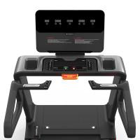 Беговая дорожка электрическая inSPORTline Gardian G10