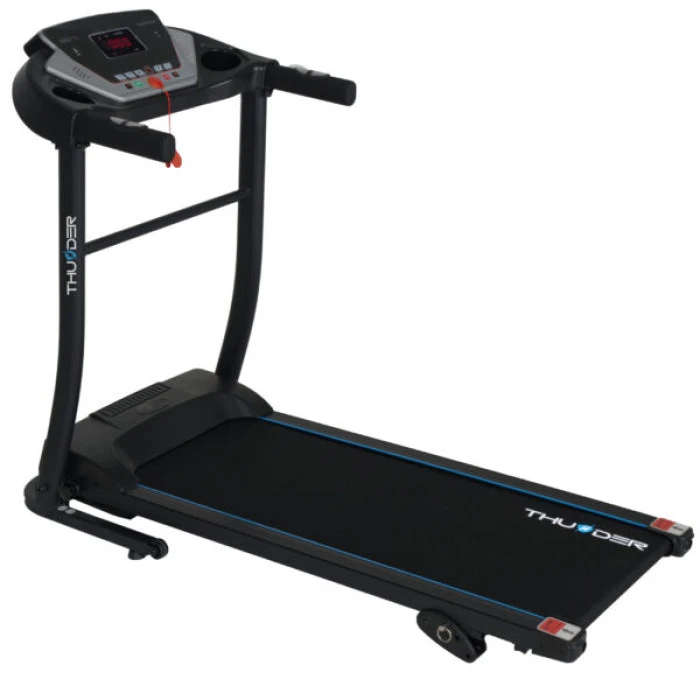 Беговая электрическая дорожка THUNDER TS-G8000