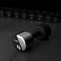 Гантели HMS HPT10 2 х 10 кг