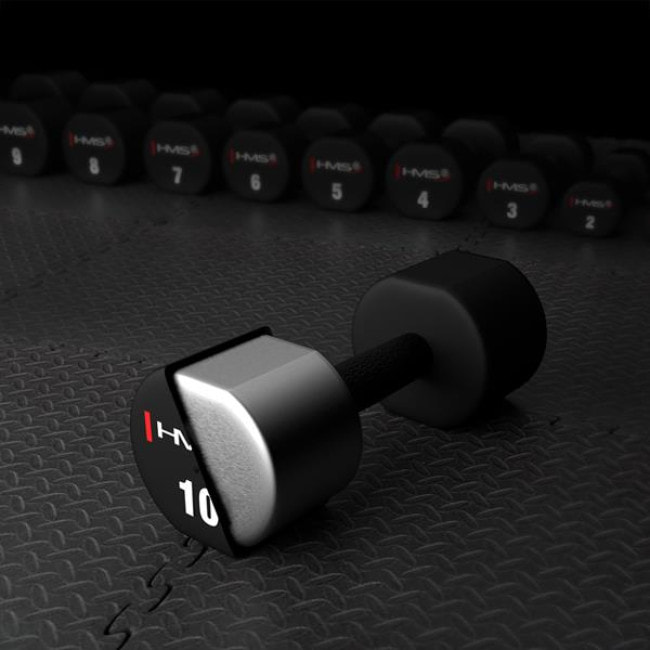 Гантели HMS HPT10 2 х 10 кг