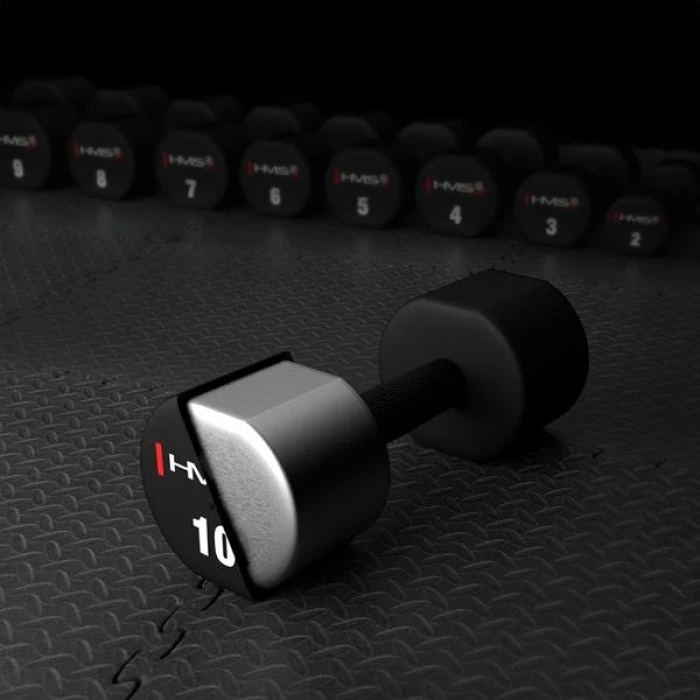 Гантелі HMS HPT10 2 х 10 кг
