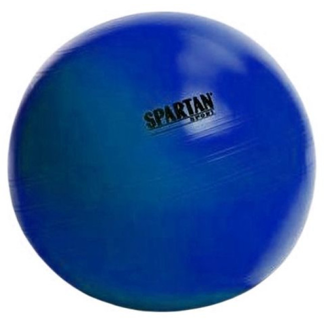 Мяч гимнастический SPARTAN 55 см Blue