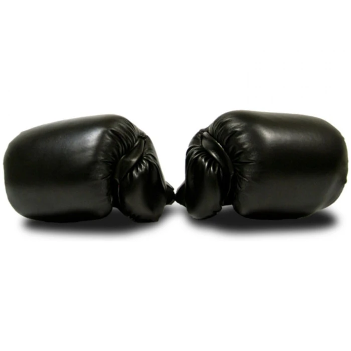 Боксерские перчатки MASTER 10 унций