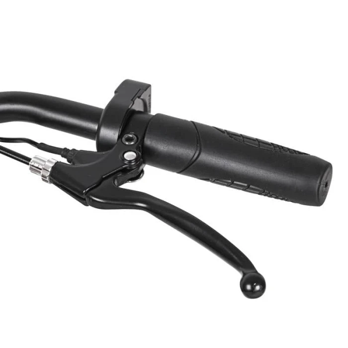 Электросамокат W-TEC Twelver 12” – черный