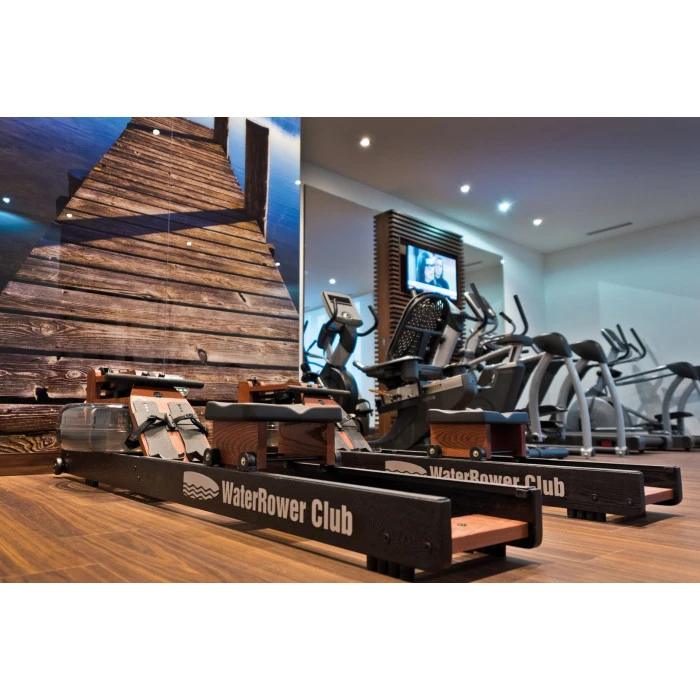 Гребной водный тренажер WaterRower Club S4 Ash черный