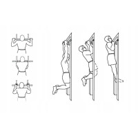 Турник дверной многофункциональный MASTER Pull-Up