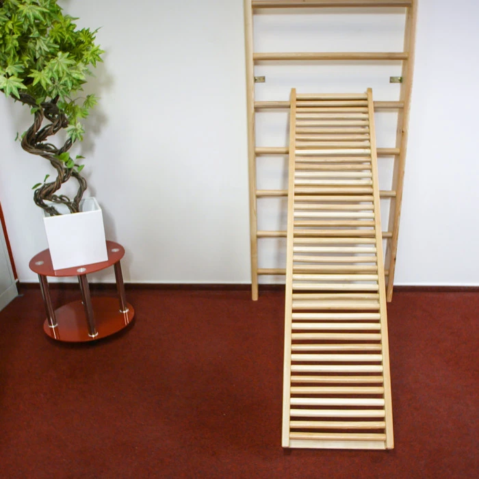 Шведская стена inSPORTline Dremar 200х80 см