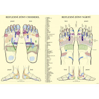 Акупрессурный коврик MXSTP с подушкой MOVIT 75 x 44 см, зеленый массажный