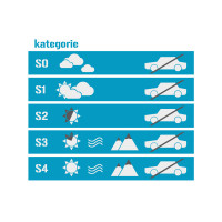 Лыжные очки WORKER Cooper with Graphic Print - Coloured Graphic