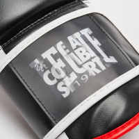 Рукавички боксерські з капою Leone GN333 LOGO WACS розмір 10 унцій, чорні