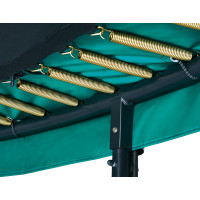 Батут Salta First Class с внутренней сеткой 10 футов 305 см черно-зеленый