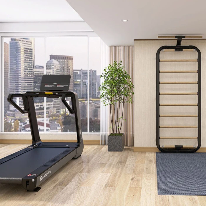 Шведская стенка inSPORTline Wootalux 220 x 86 см