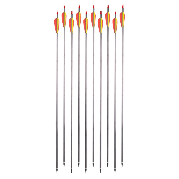 Карбонові стріли з наконечниками, що загвинчуються, inSPORTline Carbison 30” – 10 шт..