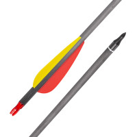 Карбоновые стрелы с завинчивающимися наконечниками inSPORTline Carbison 30” – 10 шт.