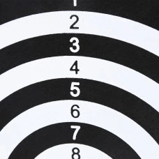 Дартс двосторонній NILS FUN TDN05 - 38 см