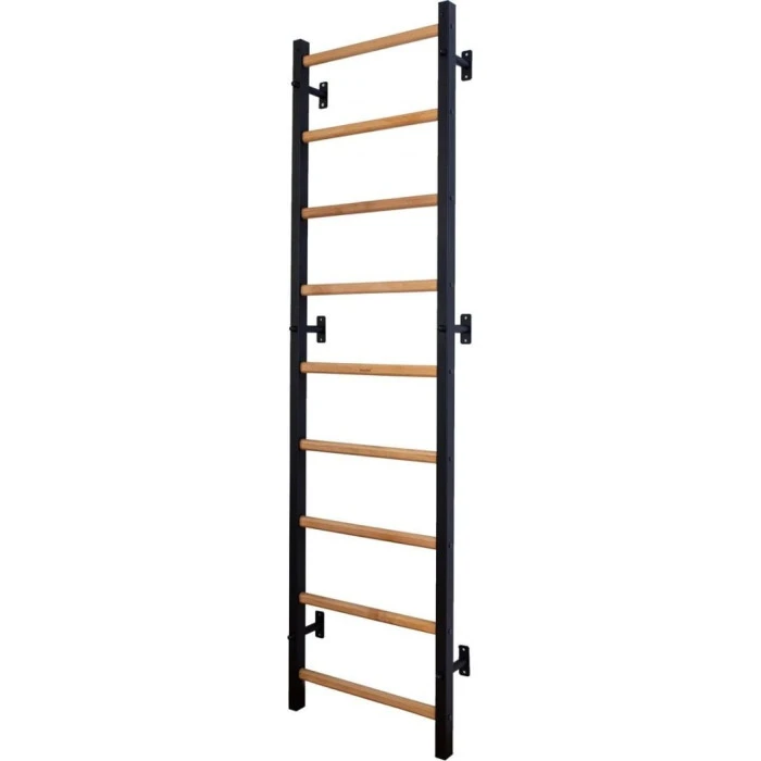 Лестница гимнастическая BenchK с регулируемой перекладиной и поручнями