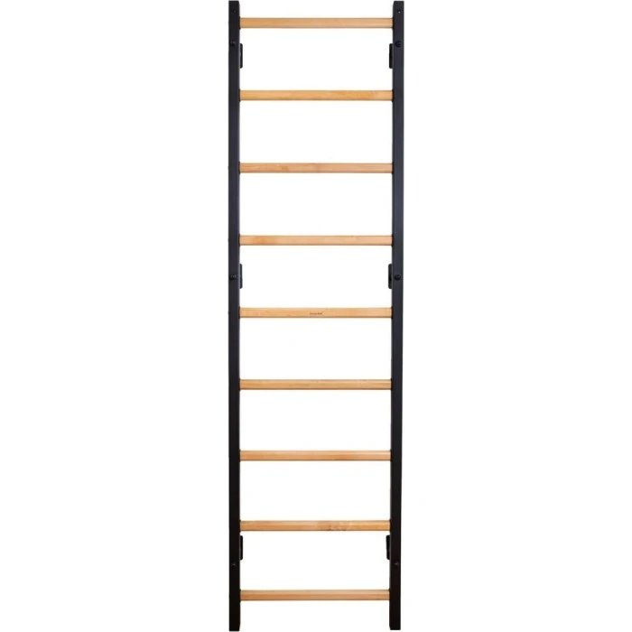 Лестница гимнастическая BenchK с регулируемой перекладиной и поручнями