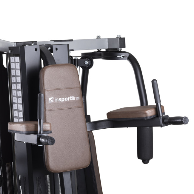 Многофункциональный атлас для тренировок inSPORTline Profigym C300 с подъемником