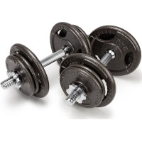 Гантелі розбірні чавунні Abarqs HKS-20, 2 х 10 кг