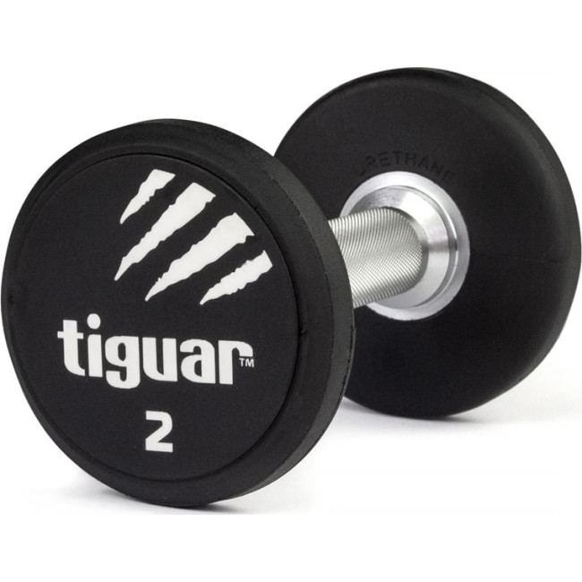 Гантель Tiguar TI-WHPU0020 прорезиненный 1 х 2 кг