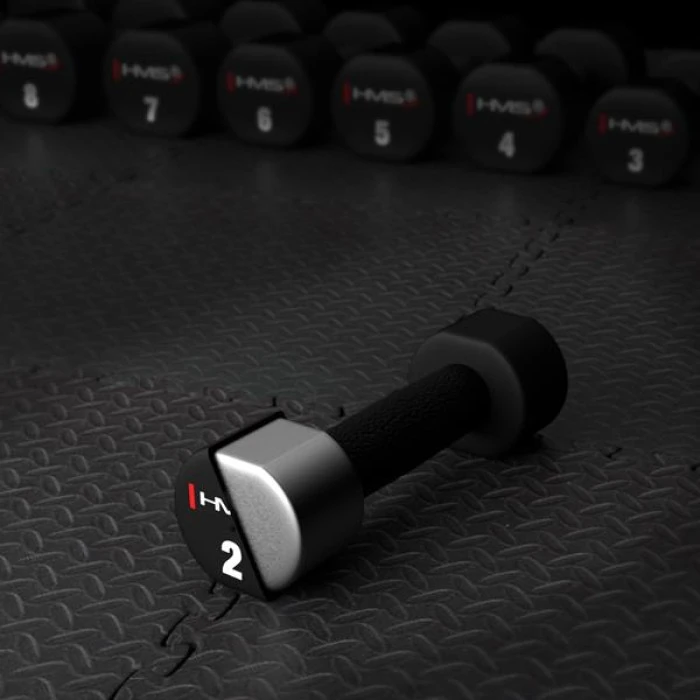 Гантелі HMS HPT02 2 х 2 кг