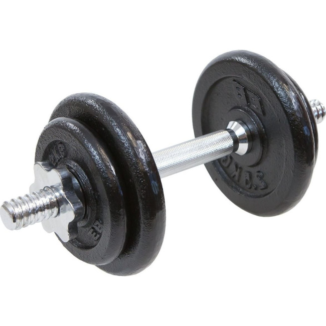 Гантель разборная чугунная Eb Fit 1 х 10 кг