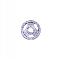 Диск чугунный inSPORTline Hamerton 1,25 кг