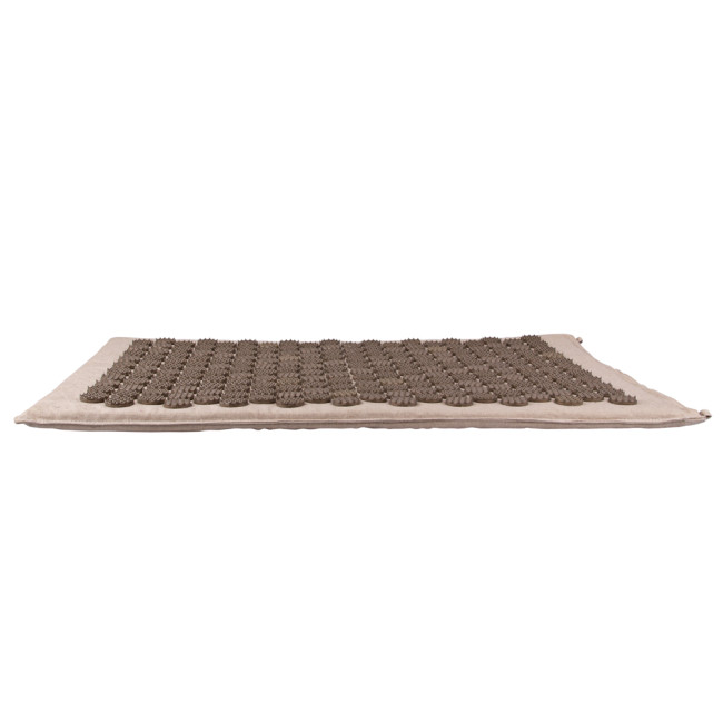 Точечный коврик из кокосовых волокон inSPORTline AKU-2000 72x44x2cm - Beige
