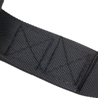 Ремни подвесные для тренировки мышц пресса inSPORTline AbStrap