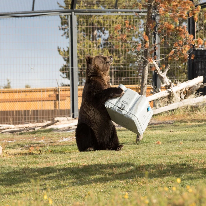 Дорожный холодильник LIFETIME 52 L