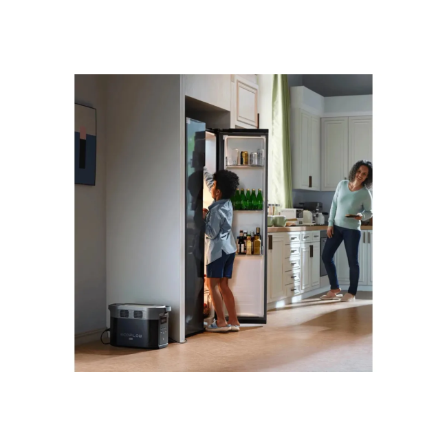 Зарядная станция EcoFlow DELTA 2 Max (EFDELTA2Max-EU)