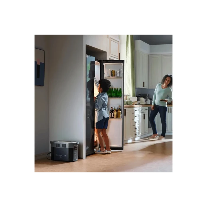 Зарядная станция EcoFlow DELTA 2 Max (EFDELTA2Max-EU)