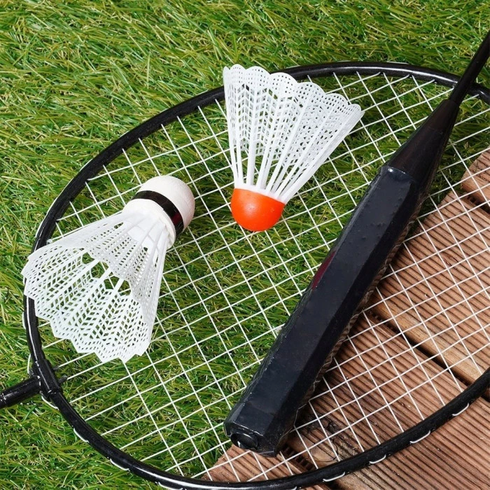 Набор для бадминтона Vilde 4 ракетки и 8 воланов 61 см