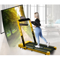 Беговая электрическая дорожка THUNDER RACE-GOLD