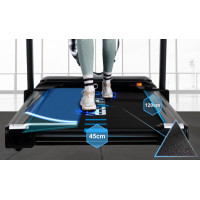 Бігова доріжка електрична THUNDER RAPID-DS-BLACK