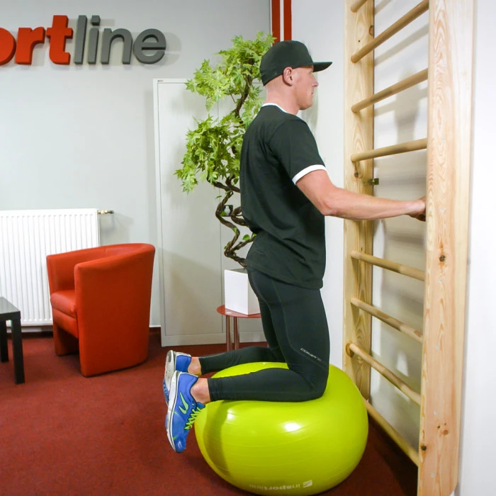 Шведская стенка inSPORTline Steadyline 250 x 90 см