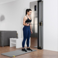 Фітнес-станція кросовер настінний HMS BSP301