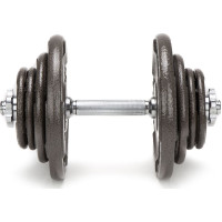 Гантели разборные чугунные Abarqs HKS-40, 2 х 20 кг.