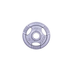 Диск чугунный inSPORTline Hamerton 2,5 кг