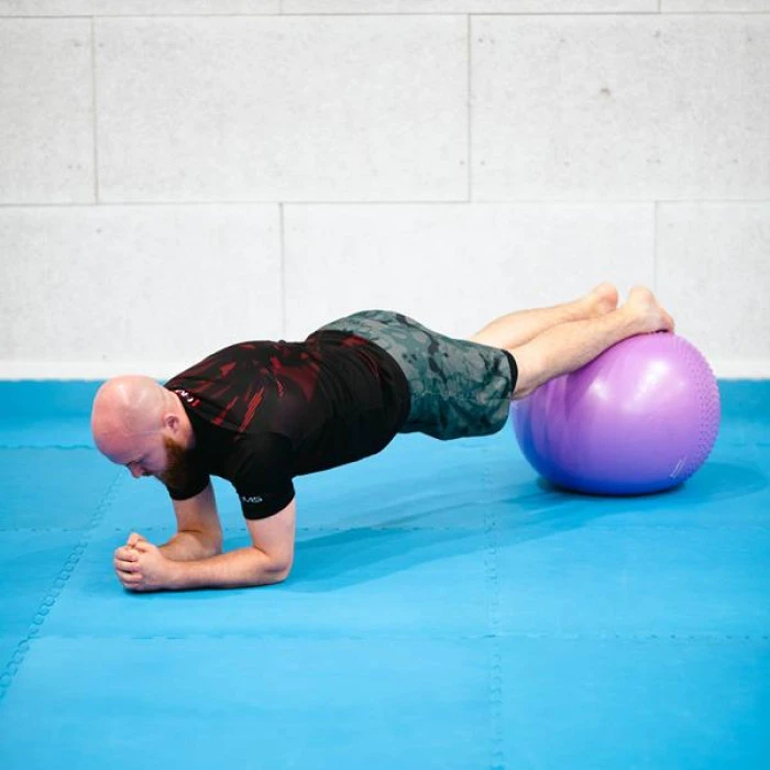 Гимнастический мяч 55 см HMS YB03N фиолетовый