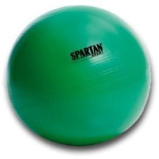 Мяч гимнастический SPARTAN 65 см Green