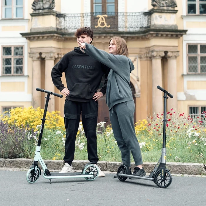 Самокат со складной подвеской inSPORTline Wayomint