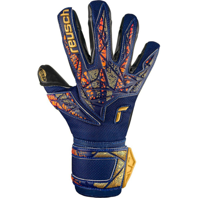 Перчатки вратарские Reusch Attrakt Gold X 5470945 4411 г.10, сине-желтый
