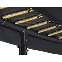 Батут Salta First Class з внутрішньою сіткою 8 футів 251 см чорний