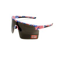 Окуляри захисні Global Vision Onyx USA Flag