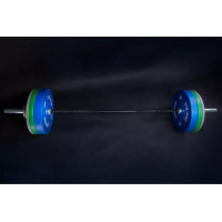 Набір олімпійських дисків Gym Rage 205 кг