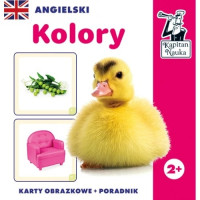 Детская развивающая игра «Английские цвета» 3+