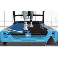 Бігова доріжка електрична THUNDER ELITE-DS-BLACK