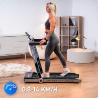 Беговая электрическая дорожка THUNDER RACE-SILVER